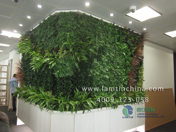 植物墻 植物墻