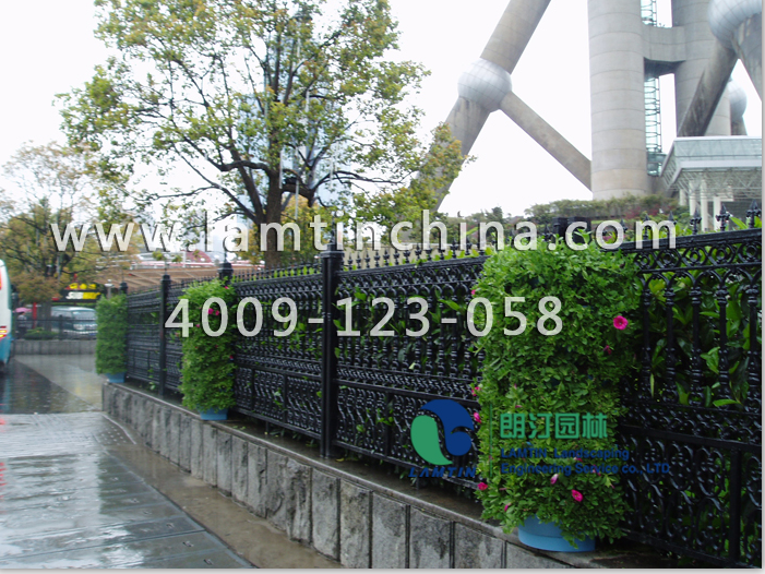 植物墻花盆 植物墻花盆