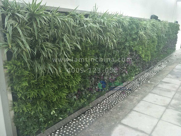 立體綠化 立體綠化