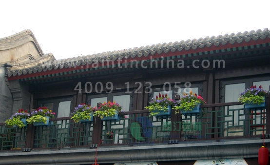 陽臺綠化 陽臺綠化