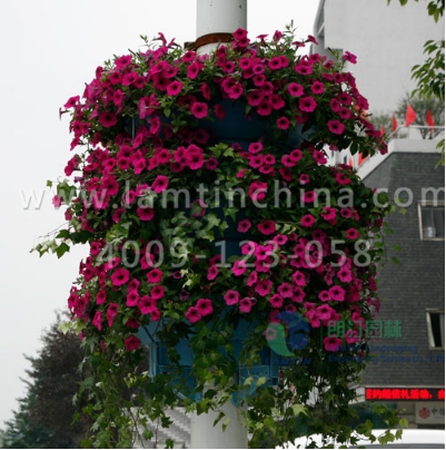 燈桿綠化花盆 燈桿綠化花盆