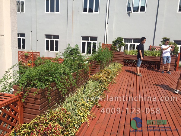 屋頂綠化 屋頂綠化